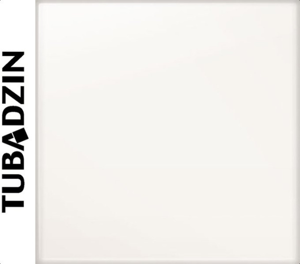 Плитка облицовочная Pastele Bialy