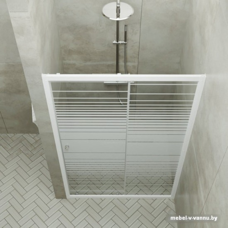 Душевая дверь Triton Слайд 120