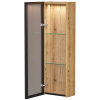 Strong 25.1D Шкаф со стеклом EQUIL [sSTRONG25.1D.R/L-36], Дуб эвок