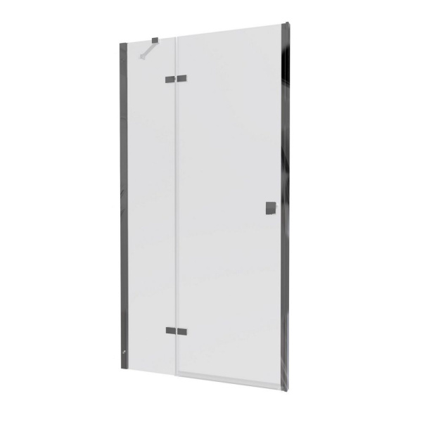 Душевая дверь Triton Бруно 99x190 (прозрачное стекло)